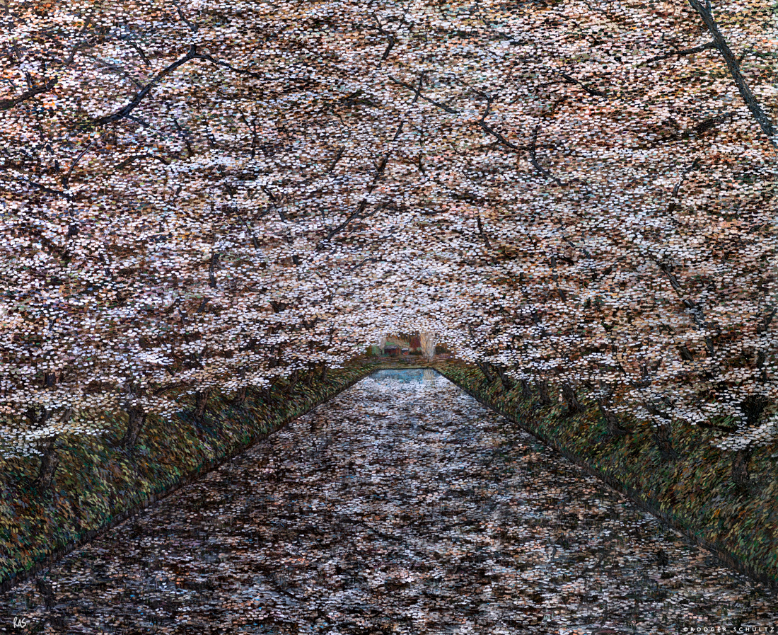 White Grove on Resevoir