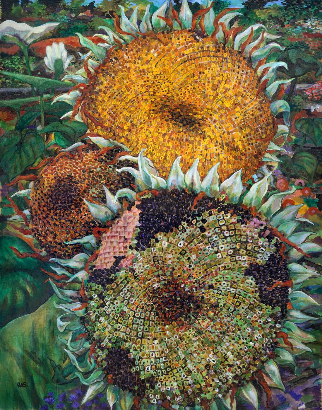 Gutenhame Sunflowers